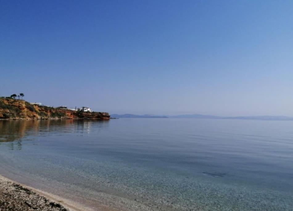 Summer House With A Pool Near Sea, Port & Airport Apartamento Rafína Exterior foto